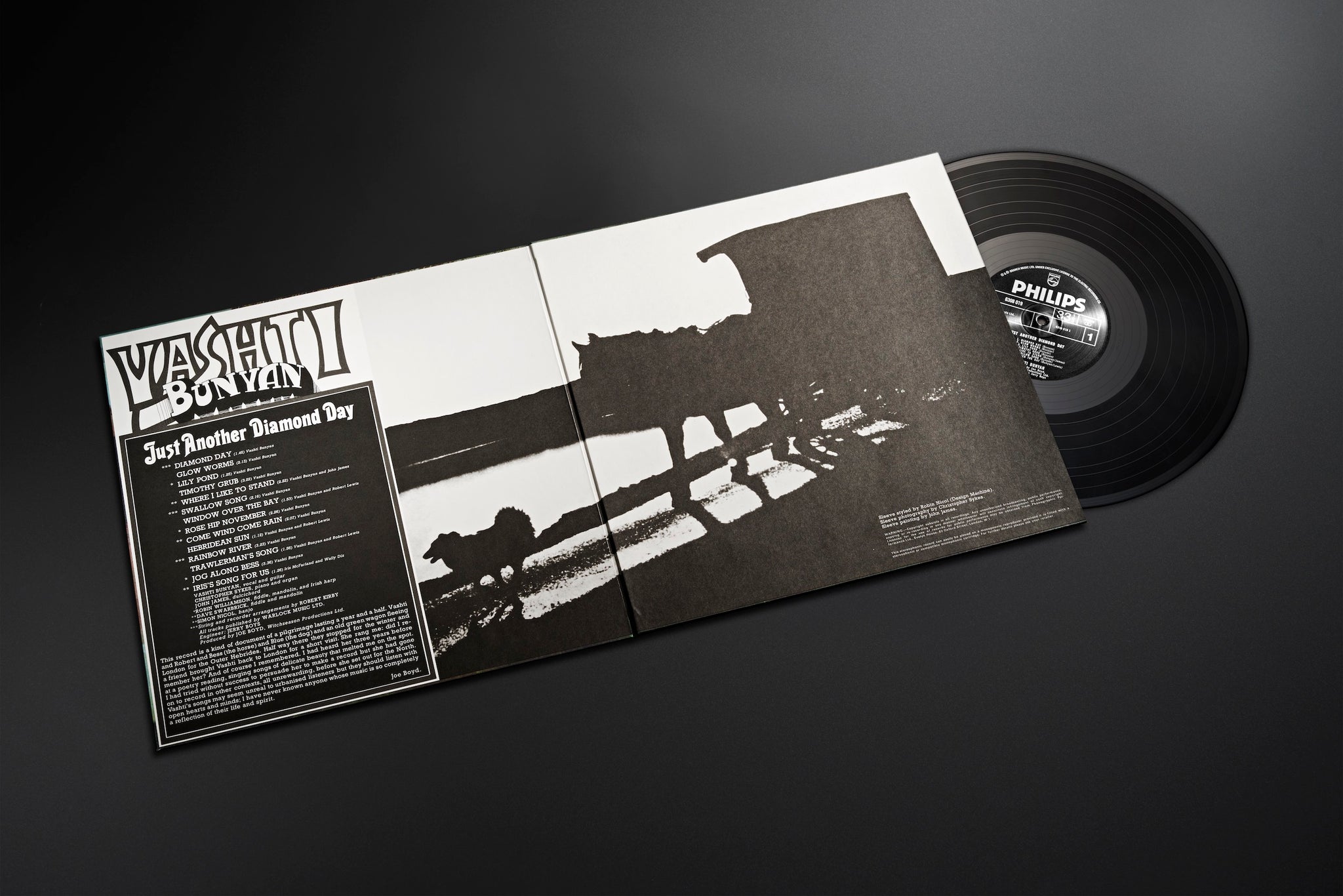 Just Another Diamond Day