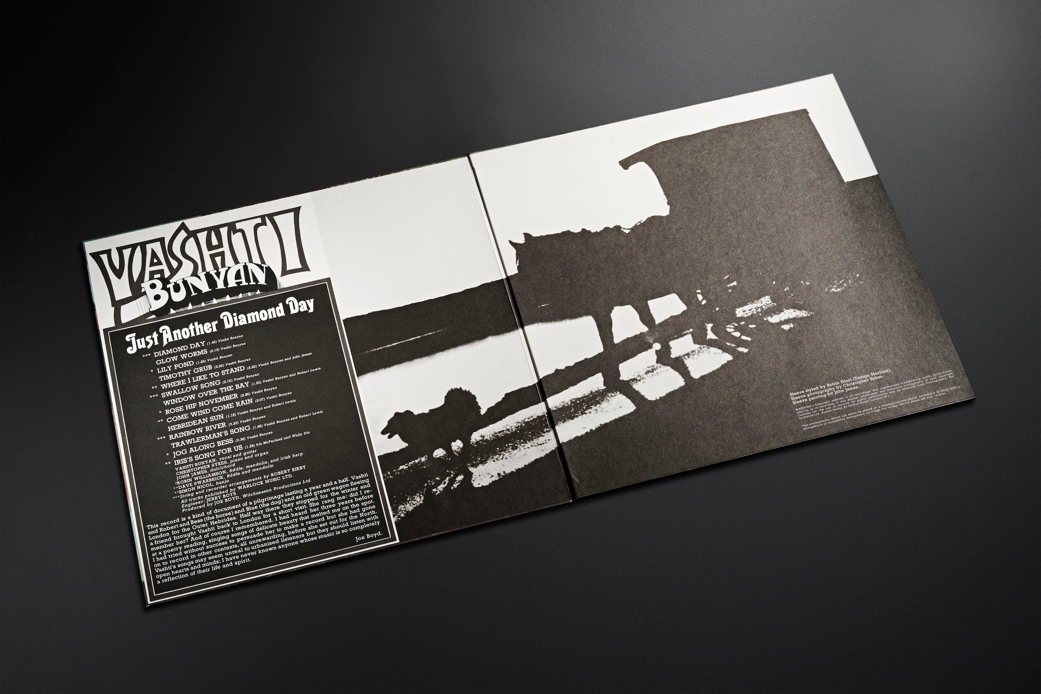 Just Another Diamond Day